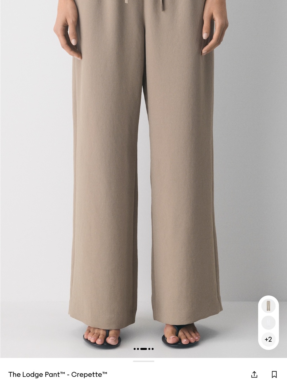 Aritzia Wide-Leg Pants in Nomad Taupe